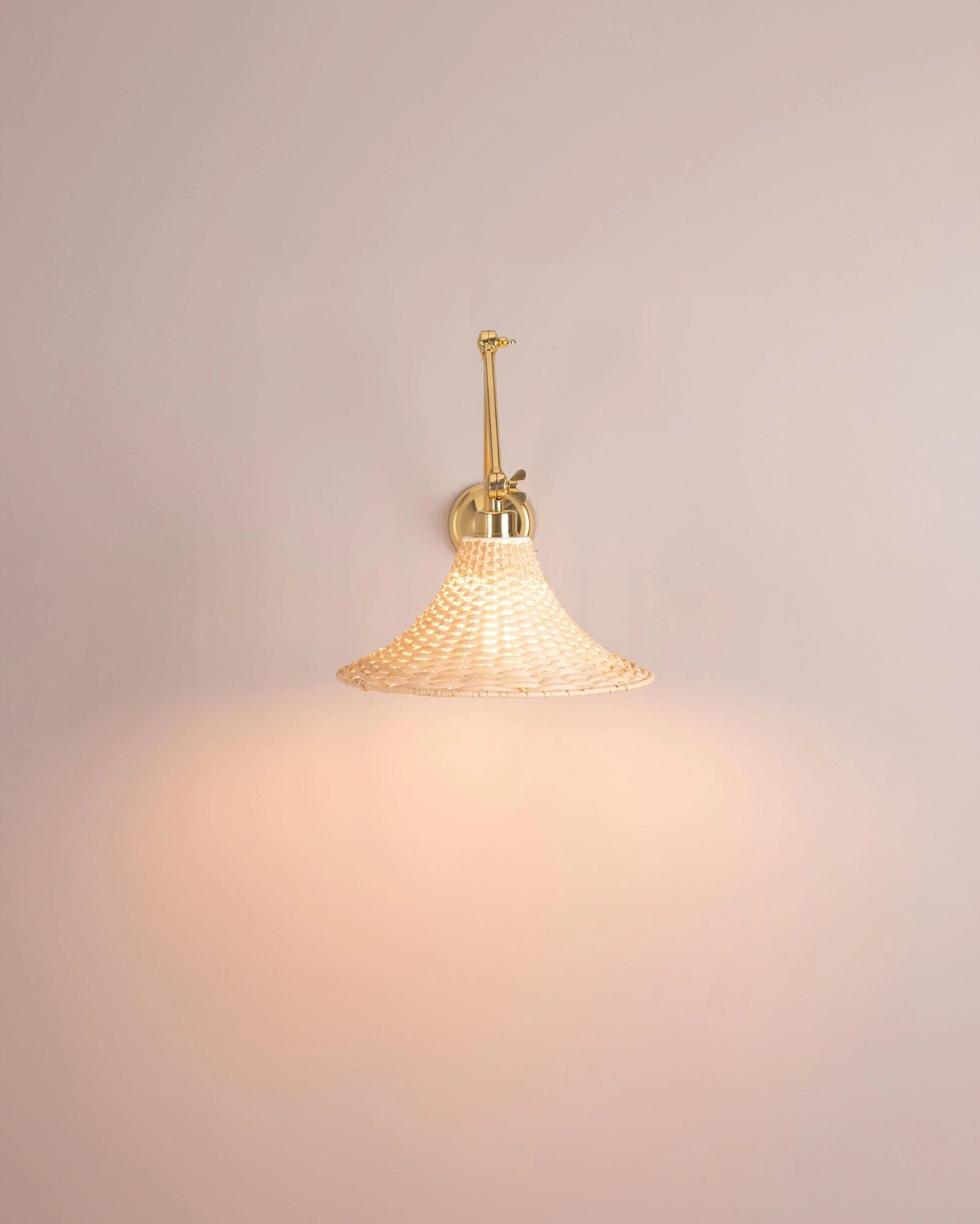 Savannah Wall Light