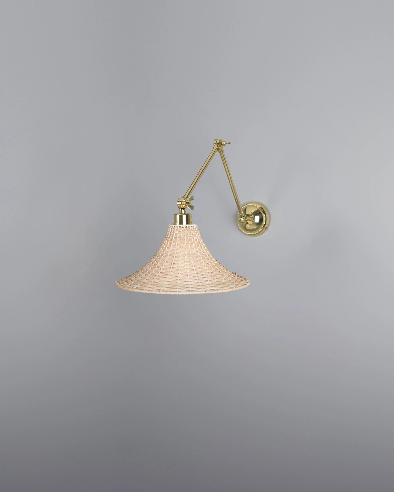 Savannah Wall Light