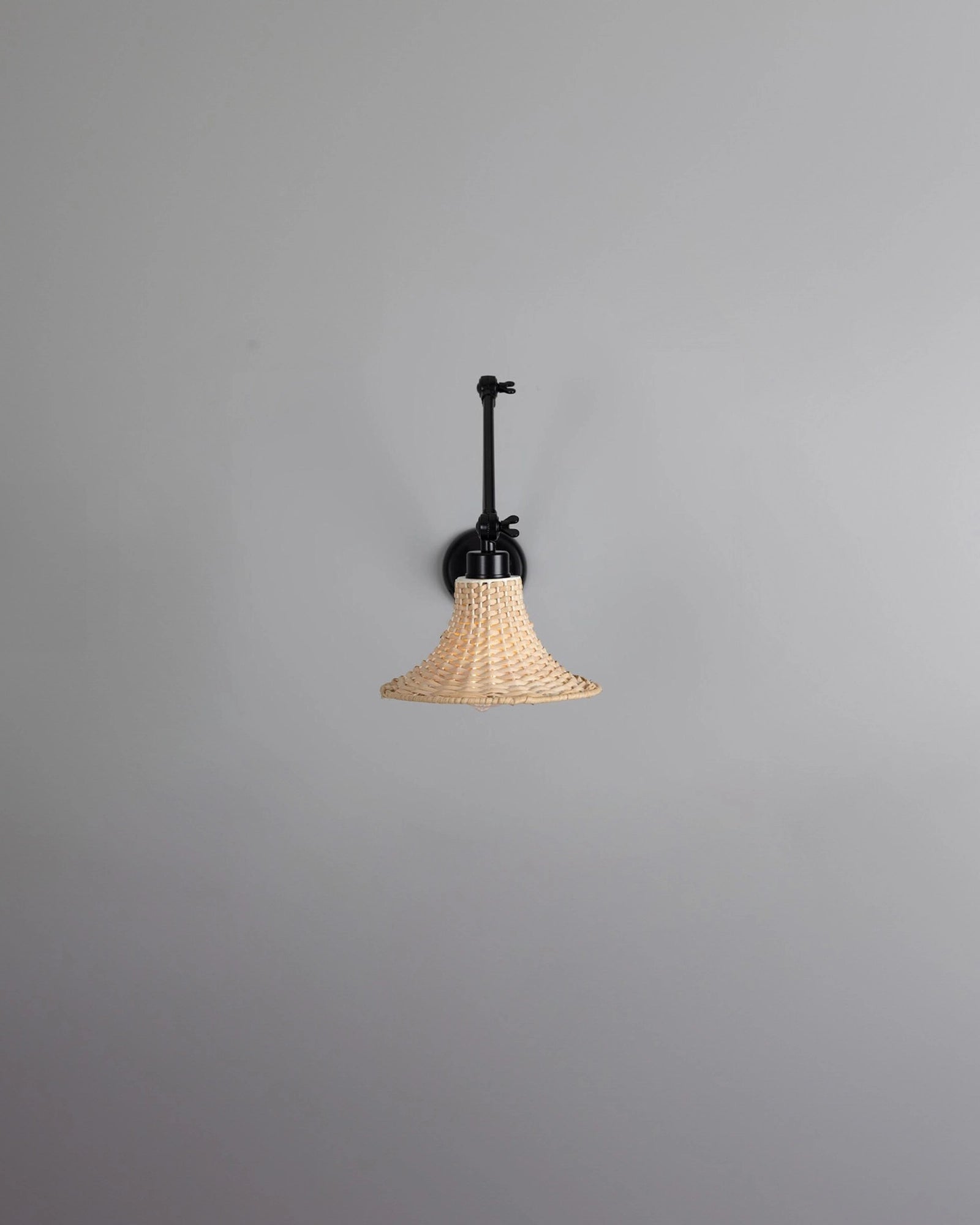 Savannah Wall Light
