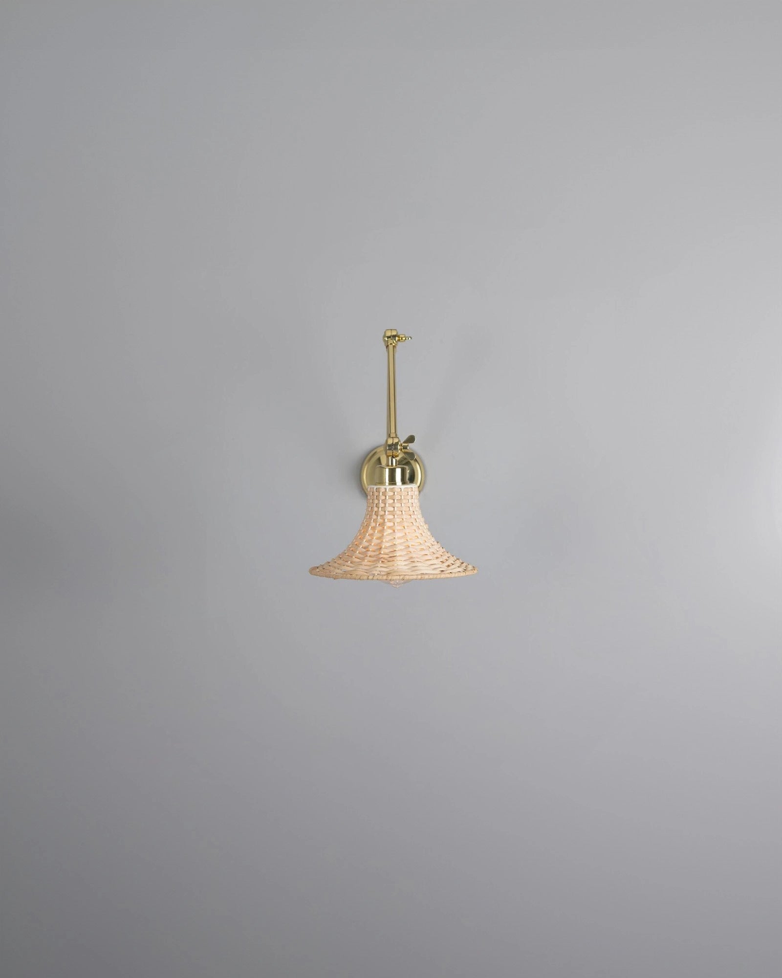 Savannah Wall Light