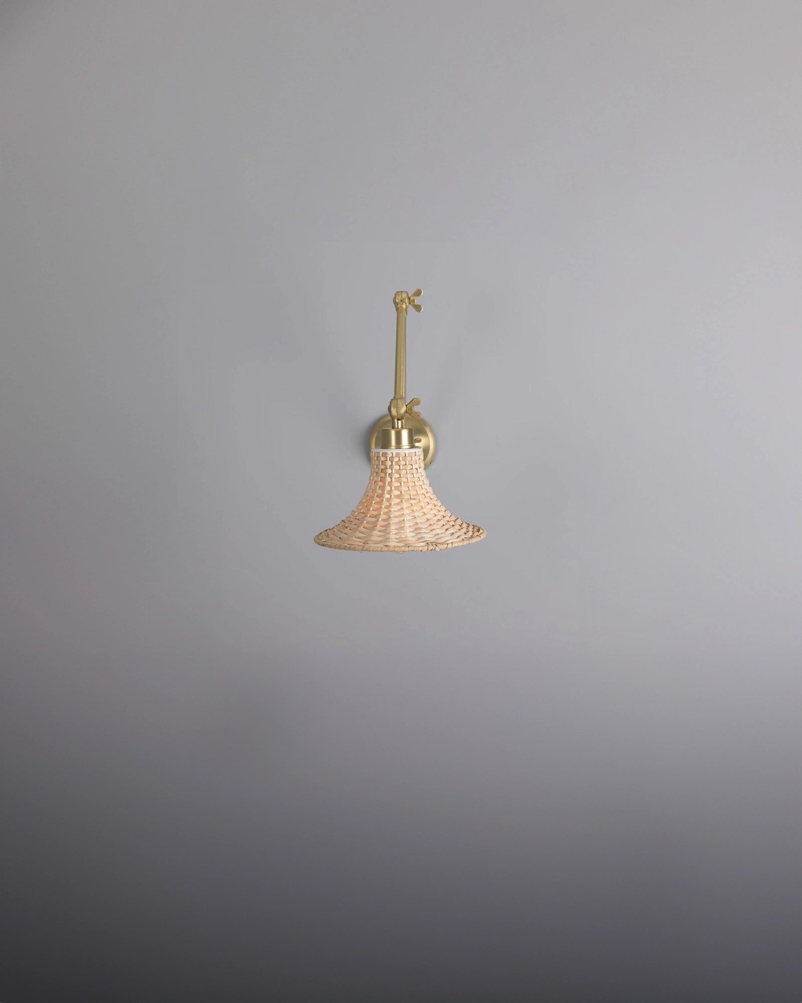 Savannah Wall Light