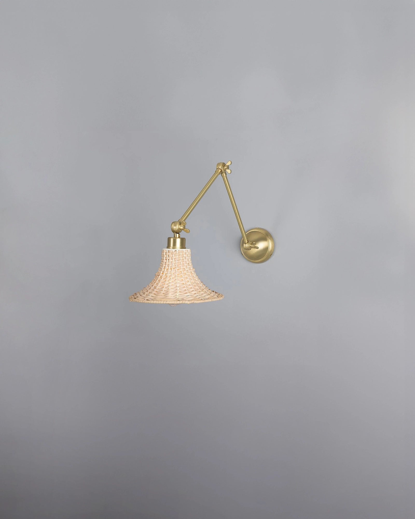 Savannah Wall Light