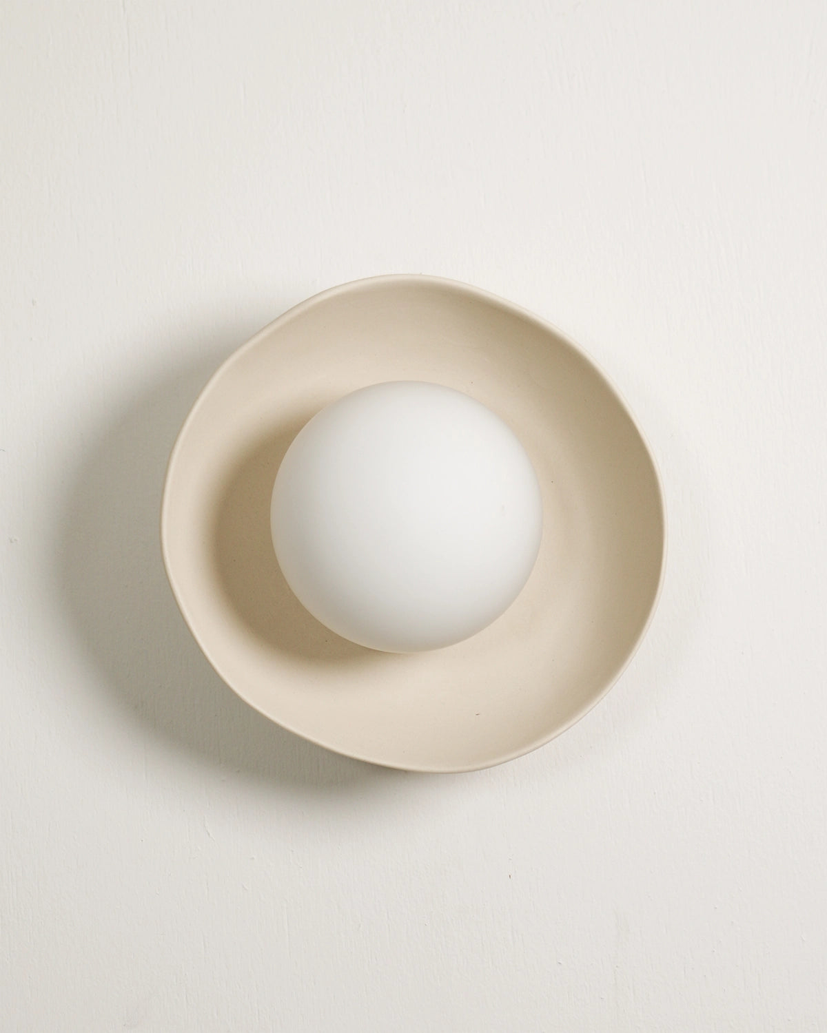 Shell Wall Light