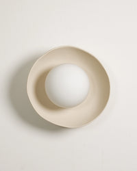 Shell Wall Light