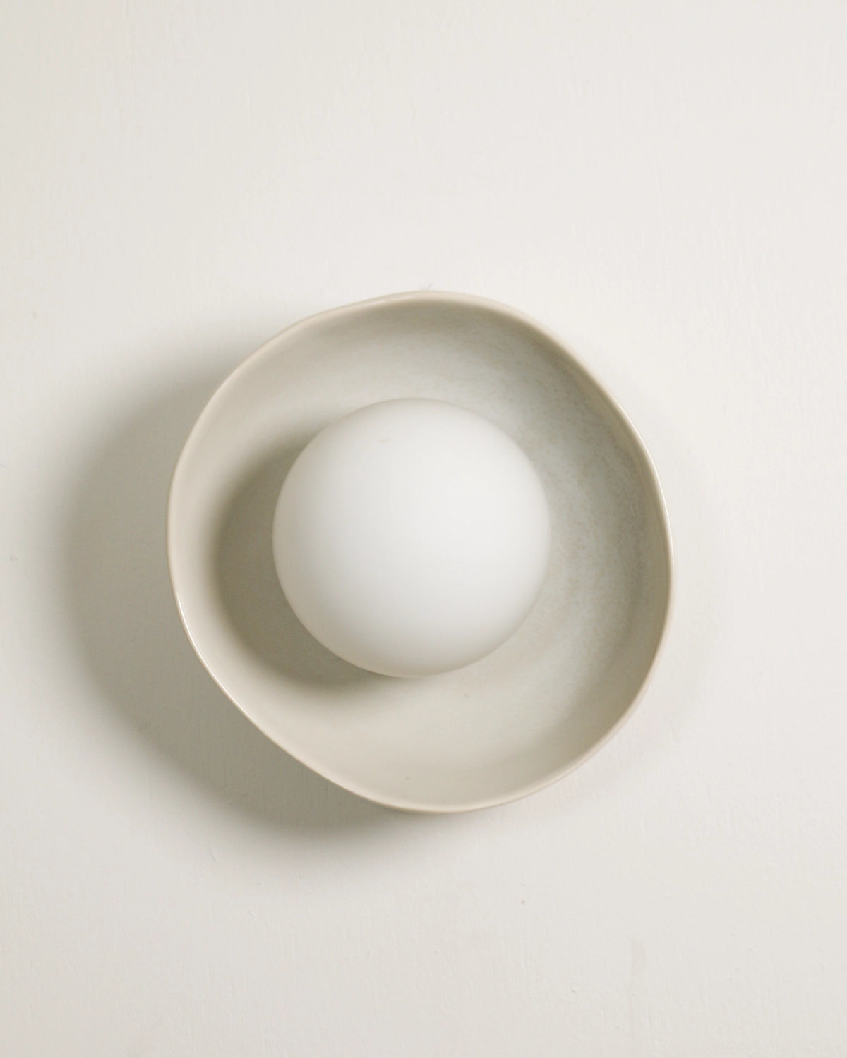 Shell Wall Light