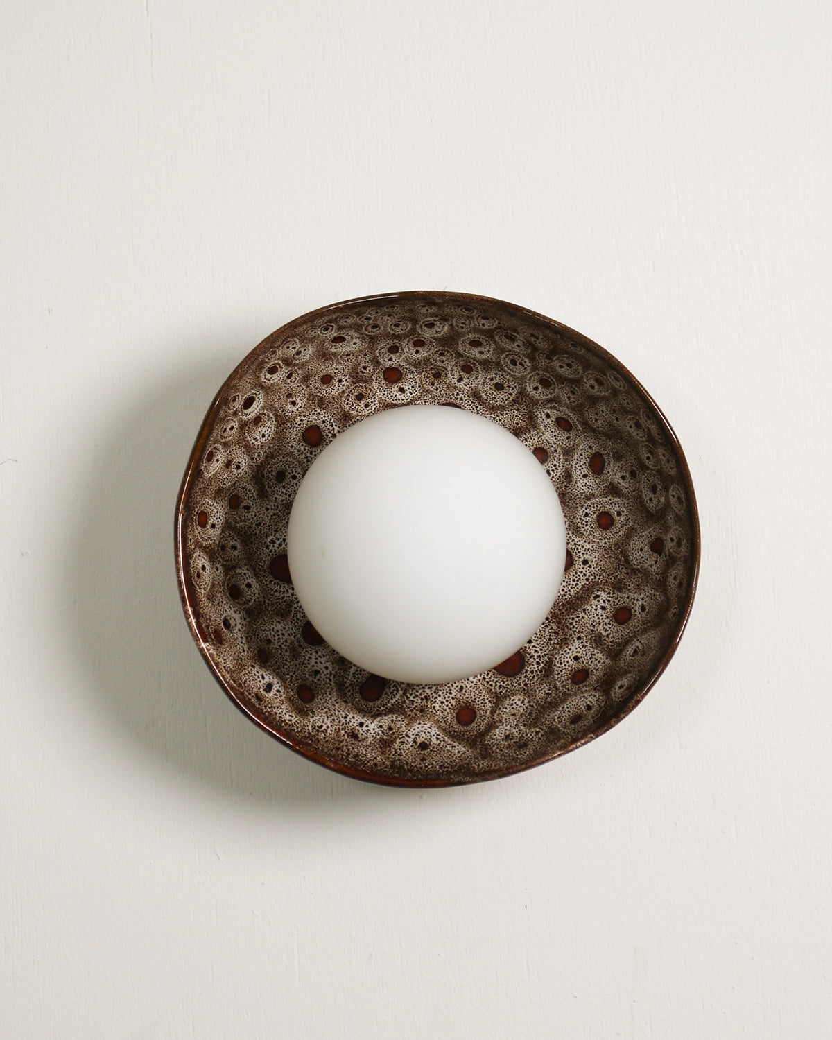 Shell Wall Light