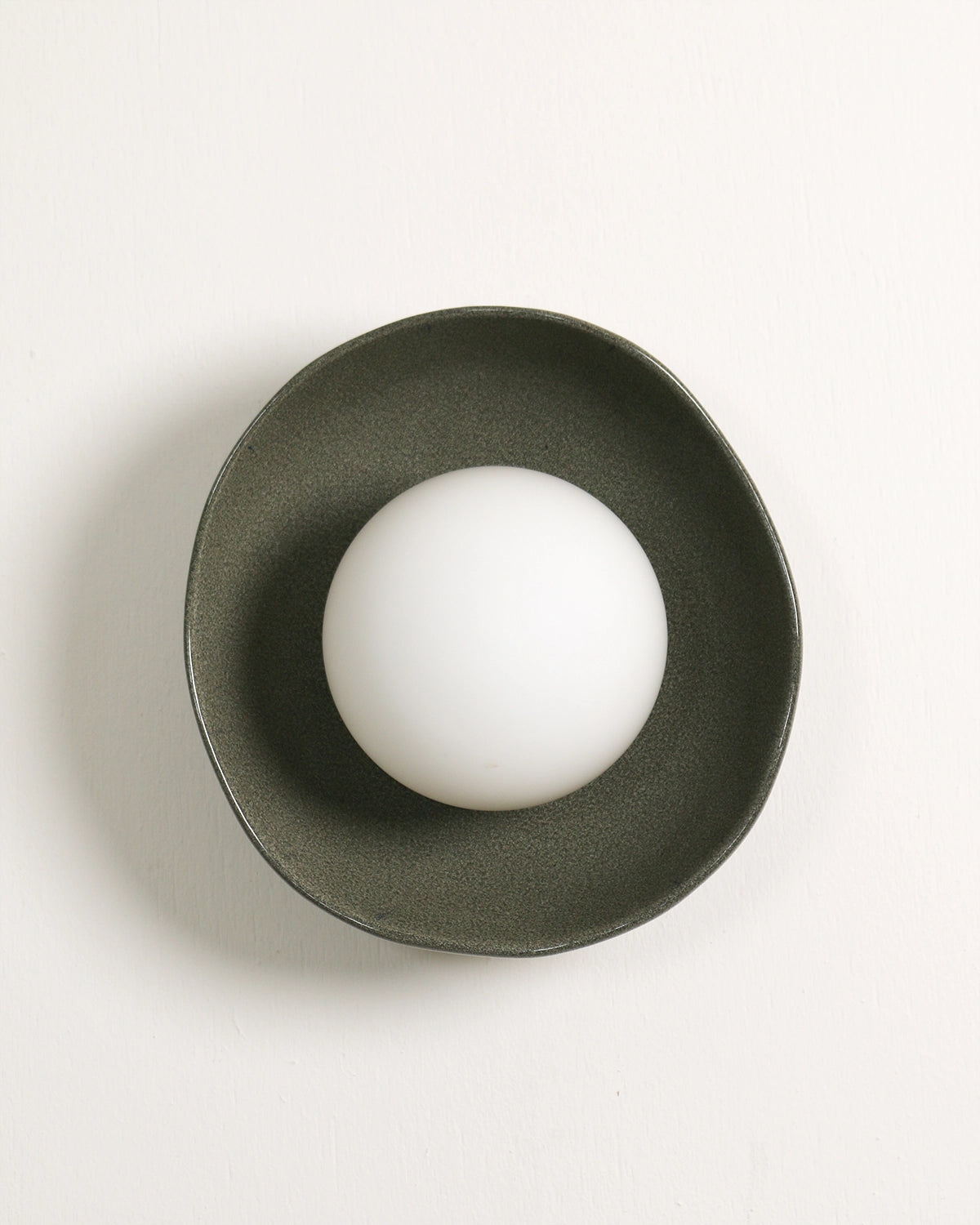 Shell Wall Light