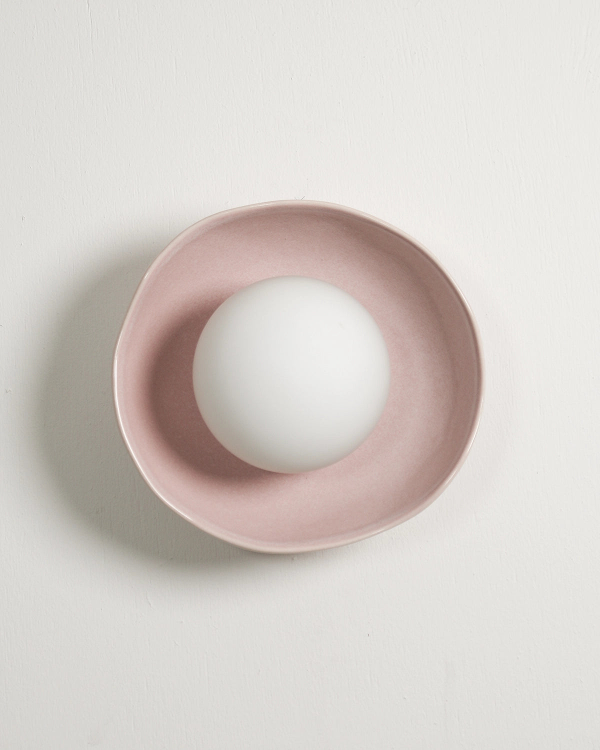 Shell Wall Light