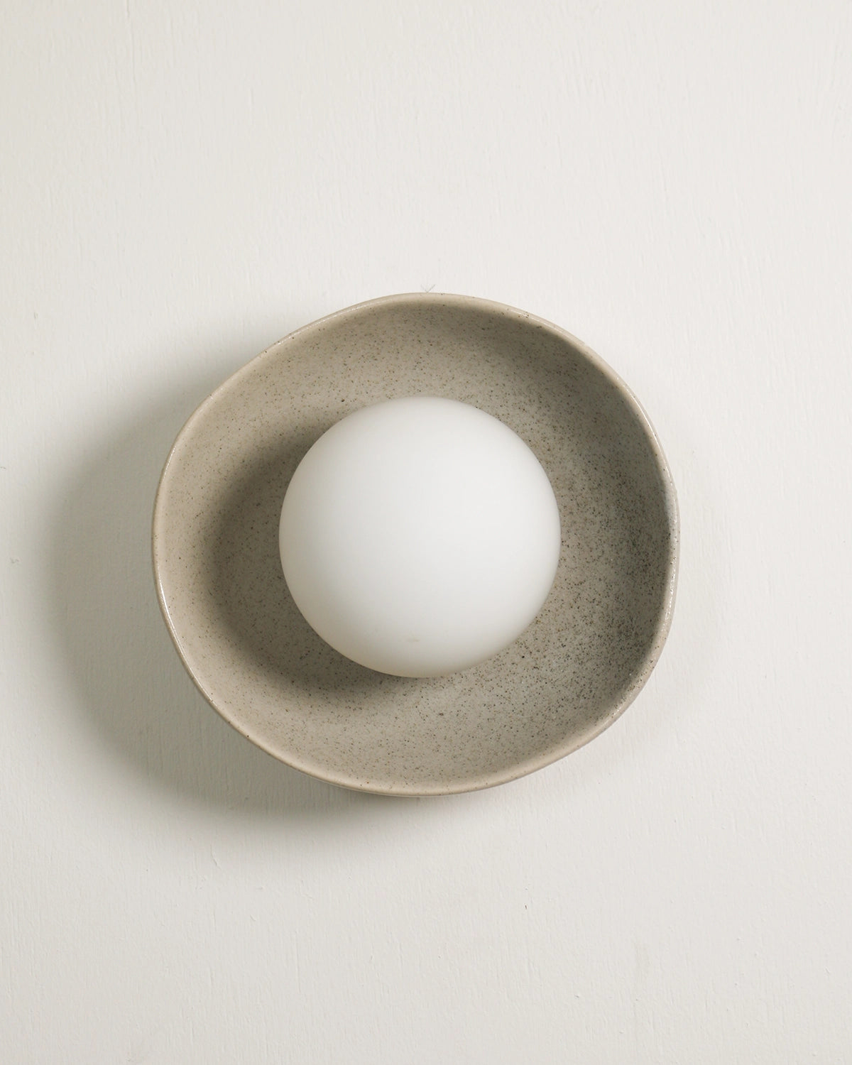 Shell Wall Light