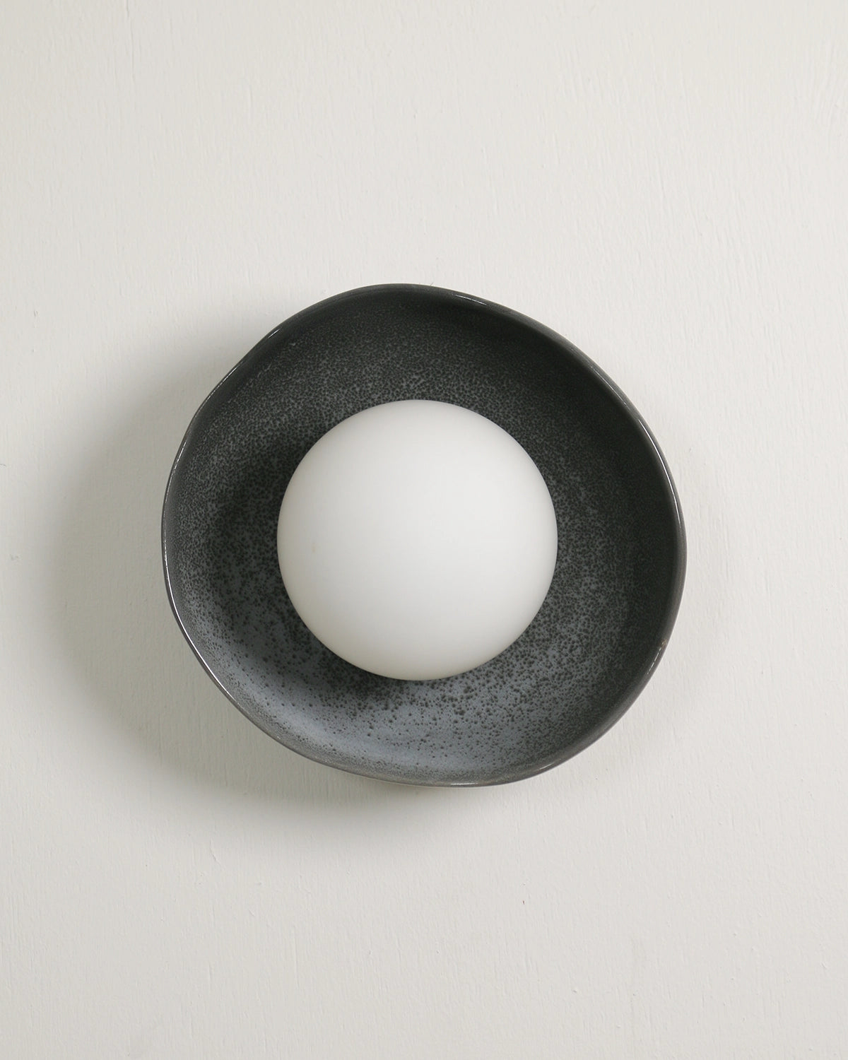 Shell Wall Light