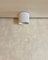 Terra Downlight
