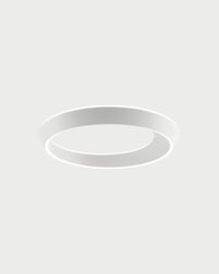 Tidal Ceiling Light