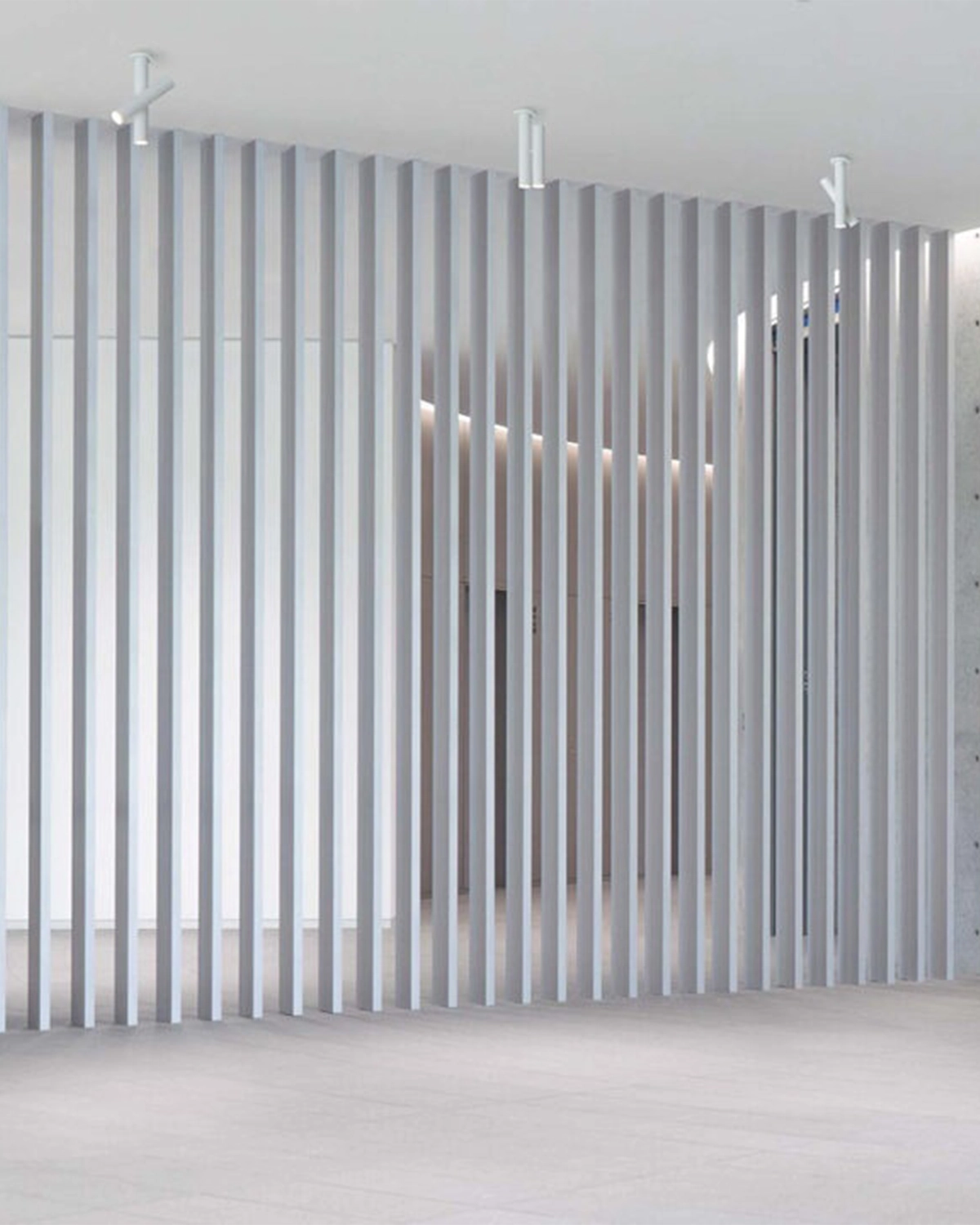 Tubes 2 Ceiling Light