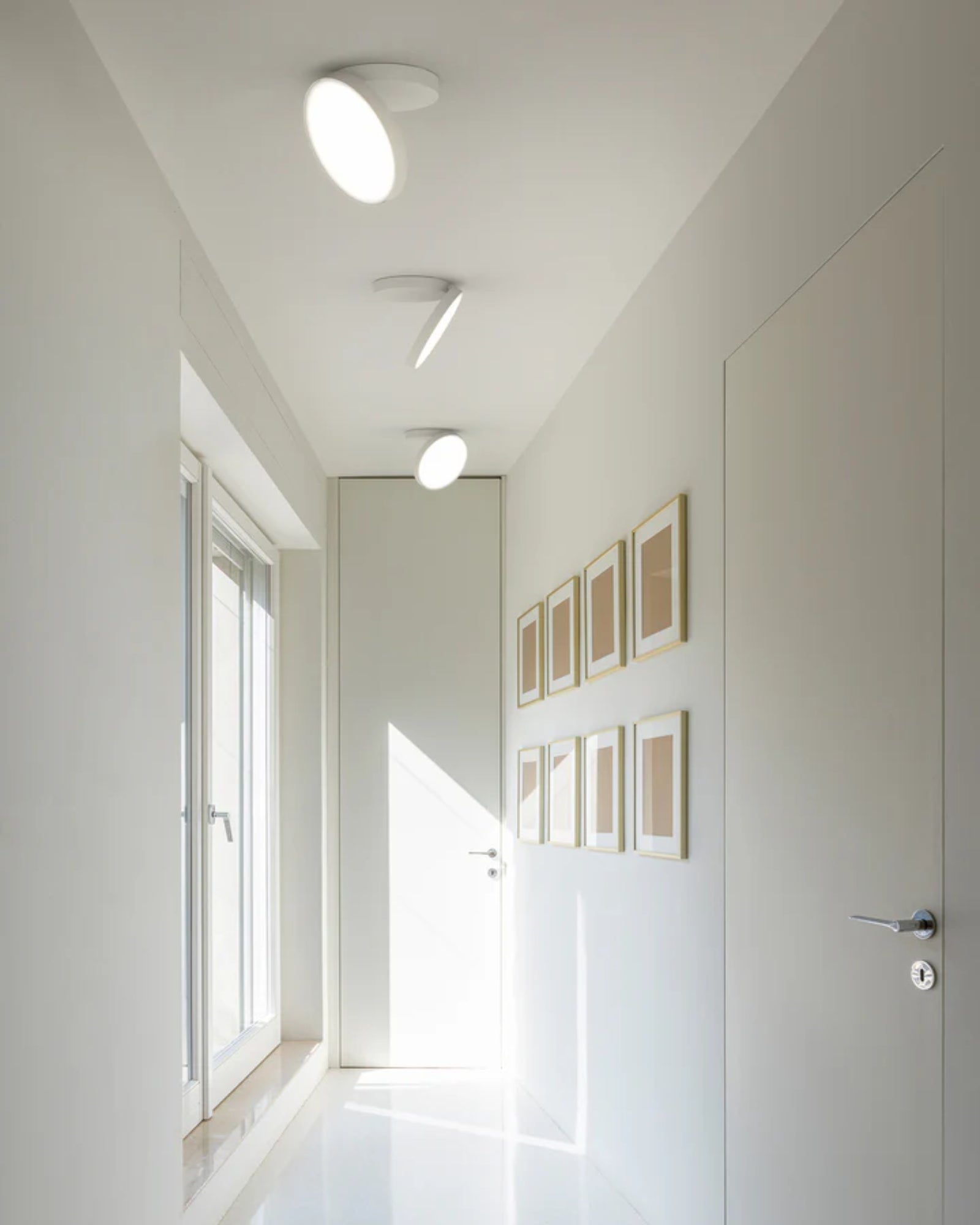 Venere Wall/Ceiling Light