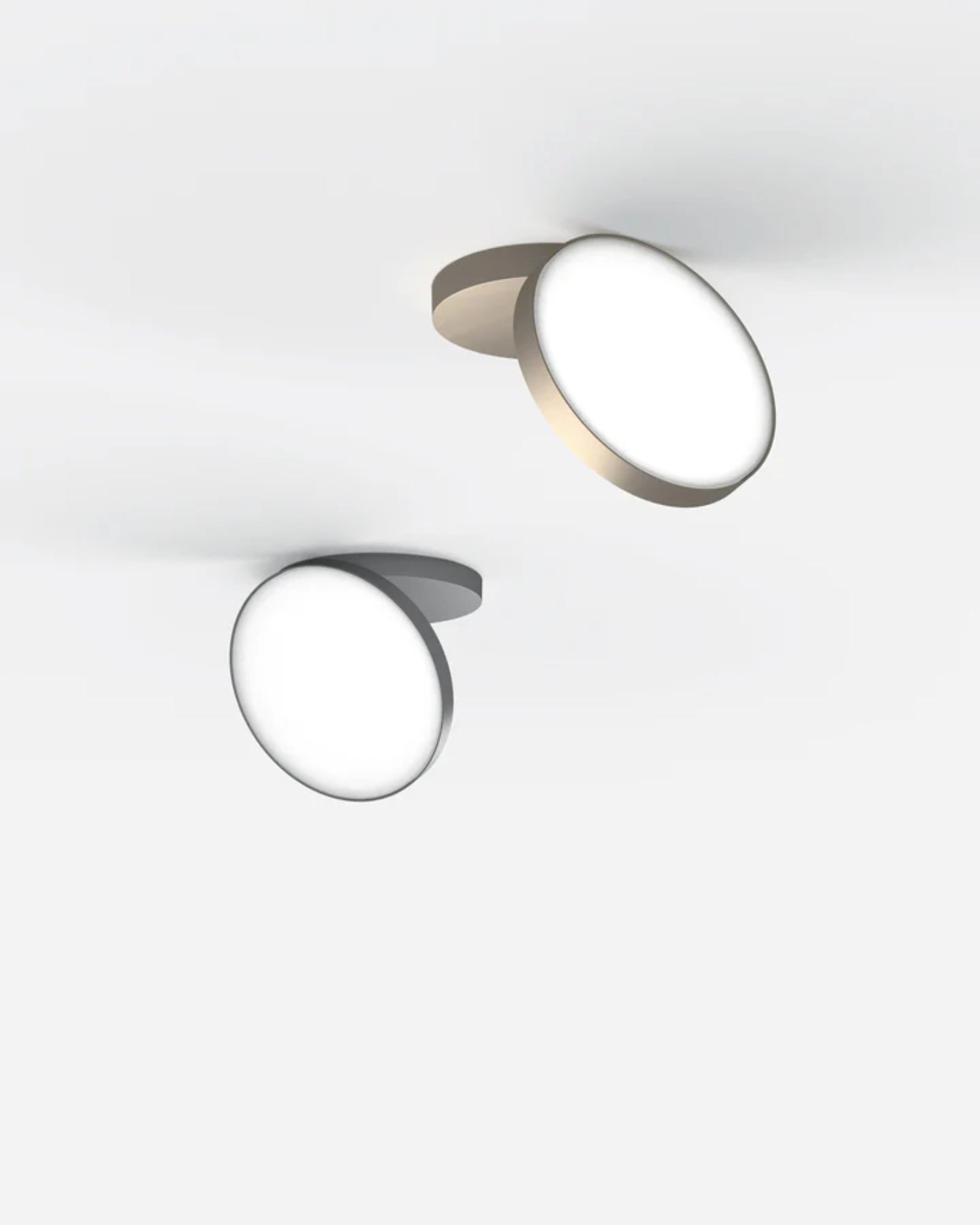 Venere Wall/Ceiling Light