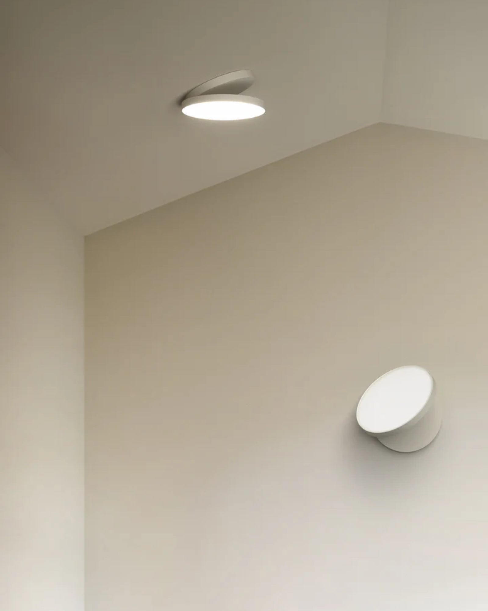 Venere Wall/Ceiling Light