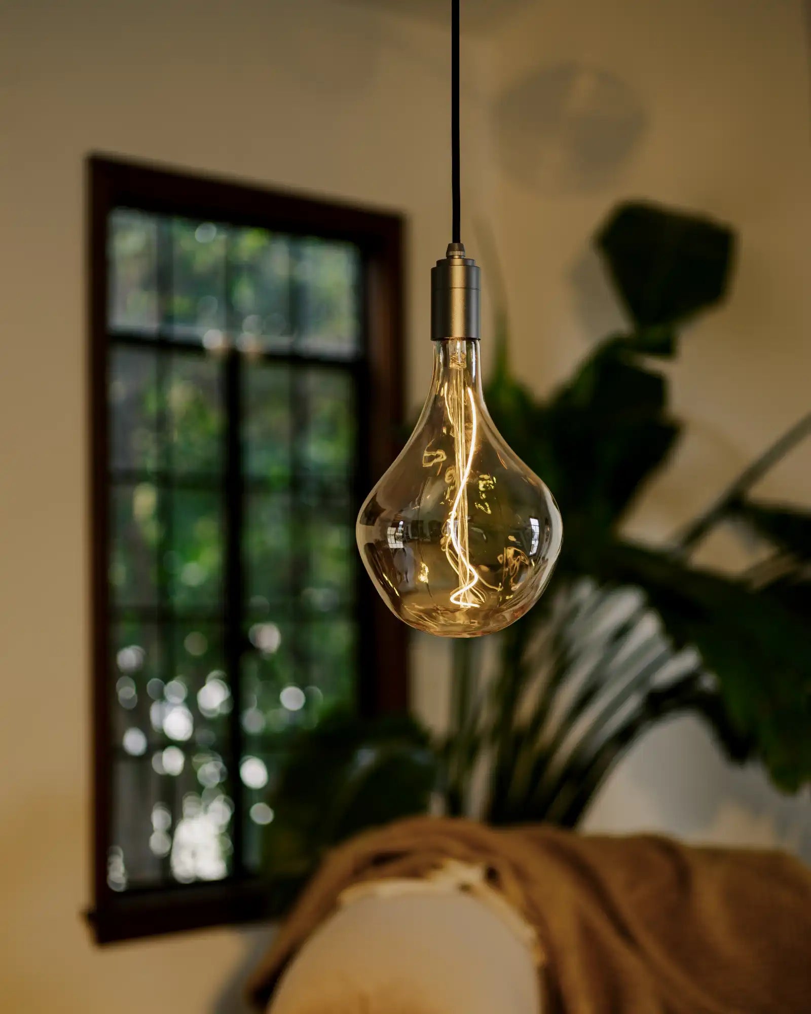 Voronoi Pendant Light by Tala | Nook Collections