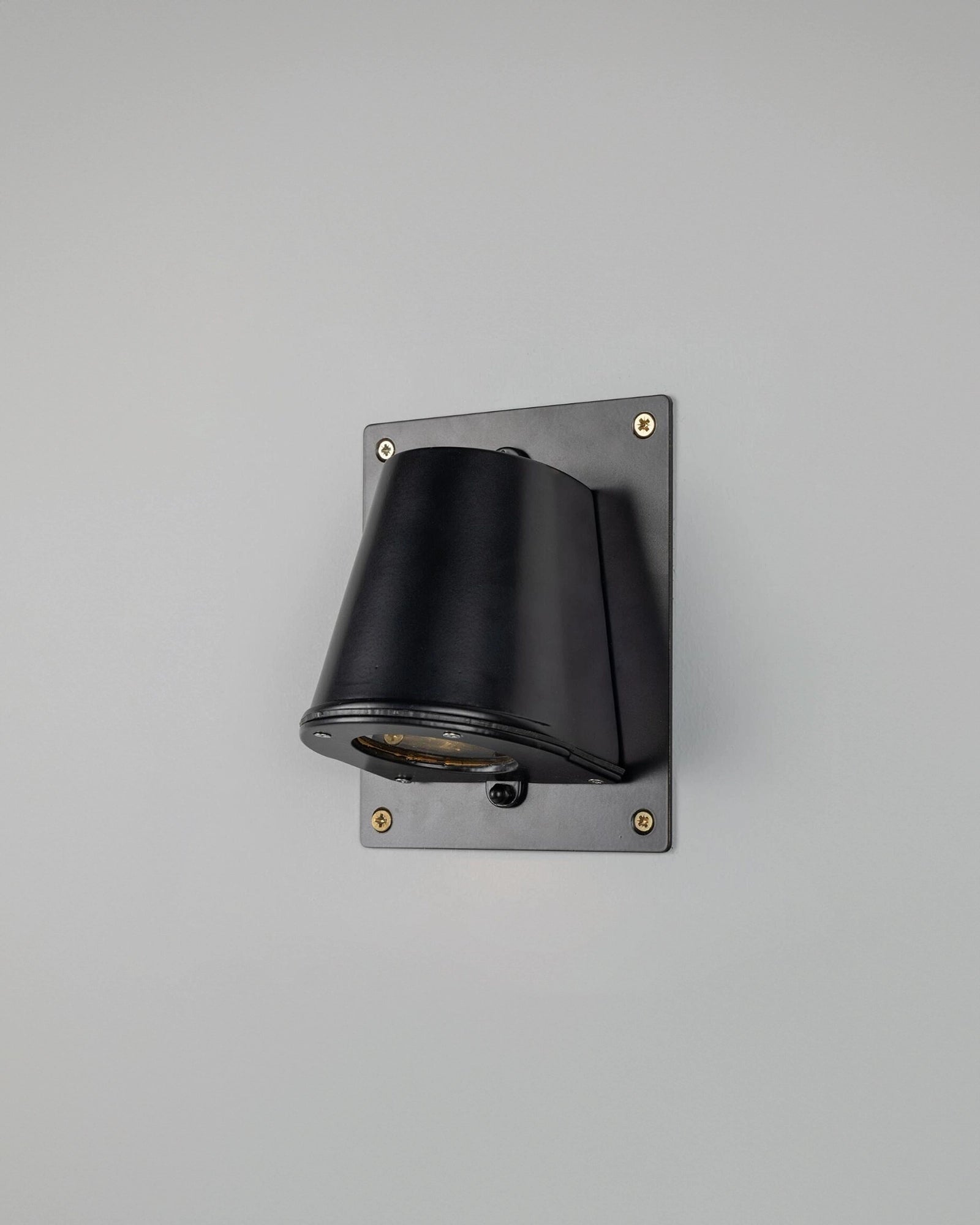 Wade Backplate Wall Light