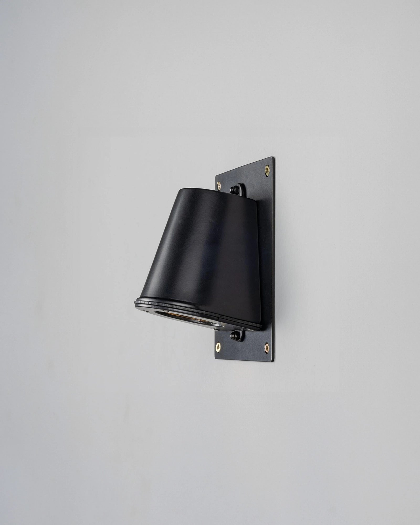 Wade Backplate Wall Light