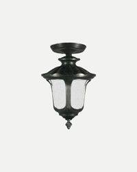 Waterford Ceiling Light