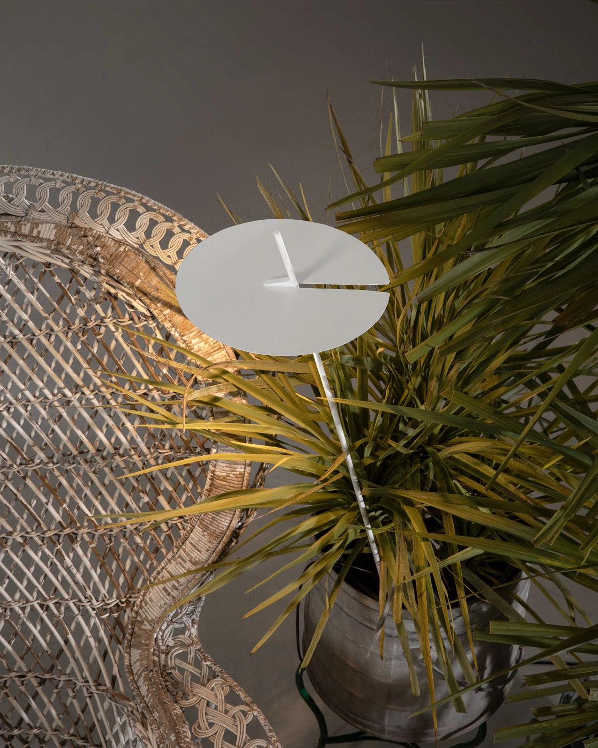 Xana Spike Light