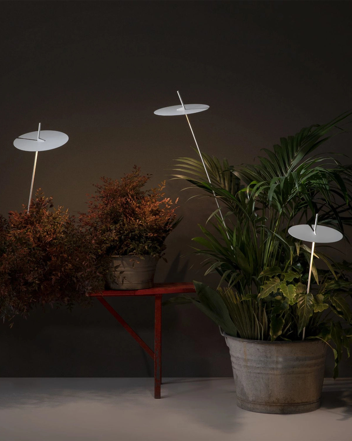 Xana Spike Light