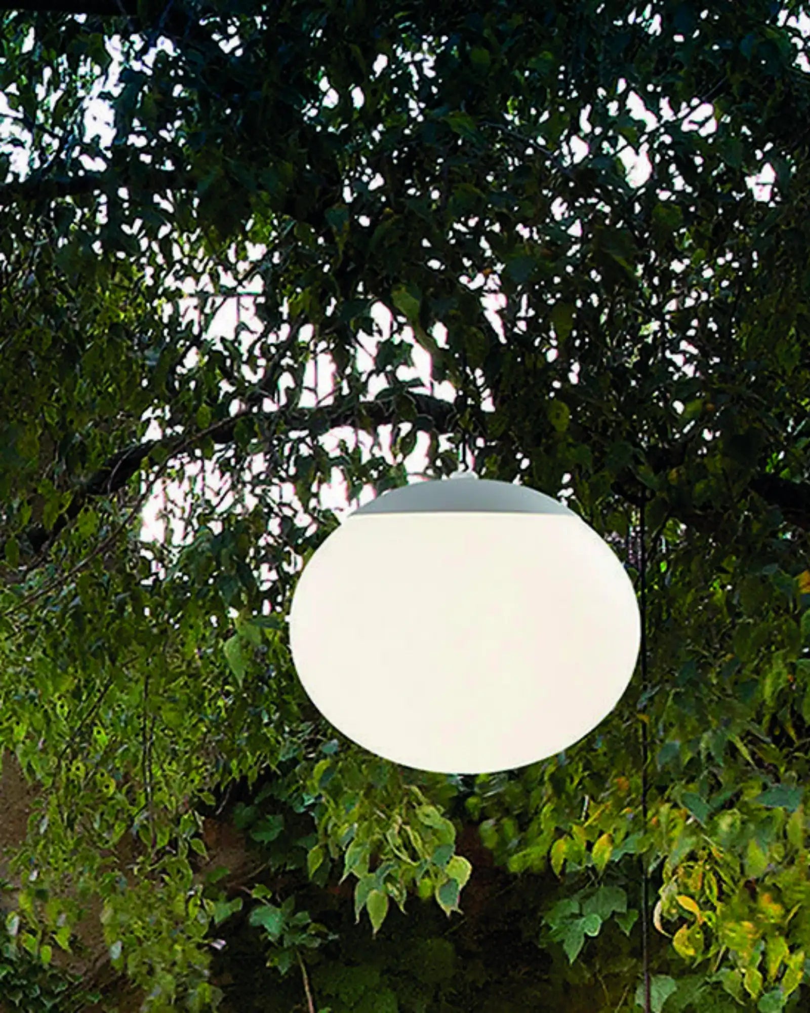 Elipse Outdoor Pendant Light
