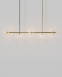 Coral Linear 8lt Pendant Light