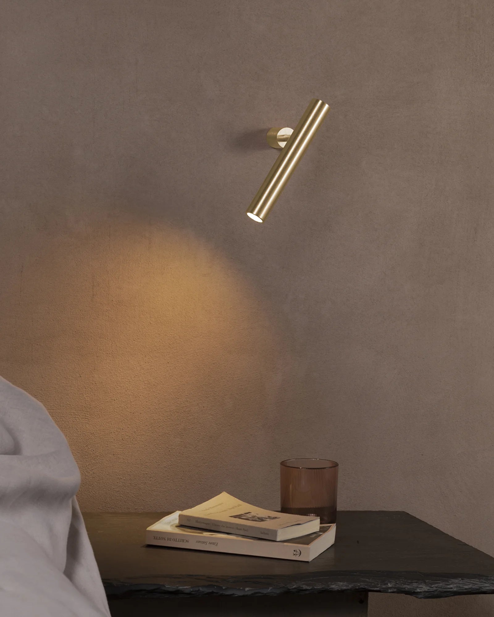 Ego Downlight/Wall Light