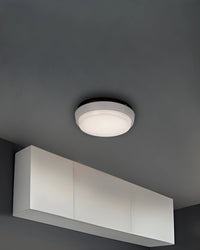 Alu Wall/Ceiling Light