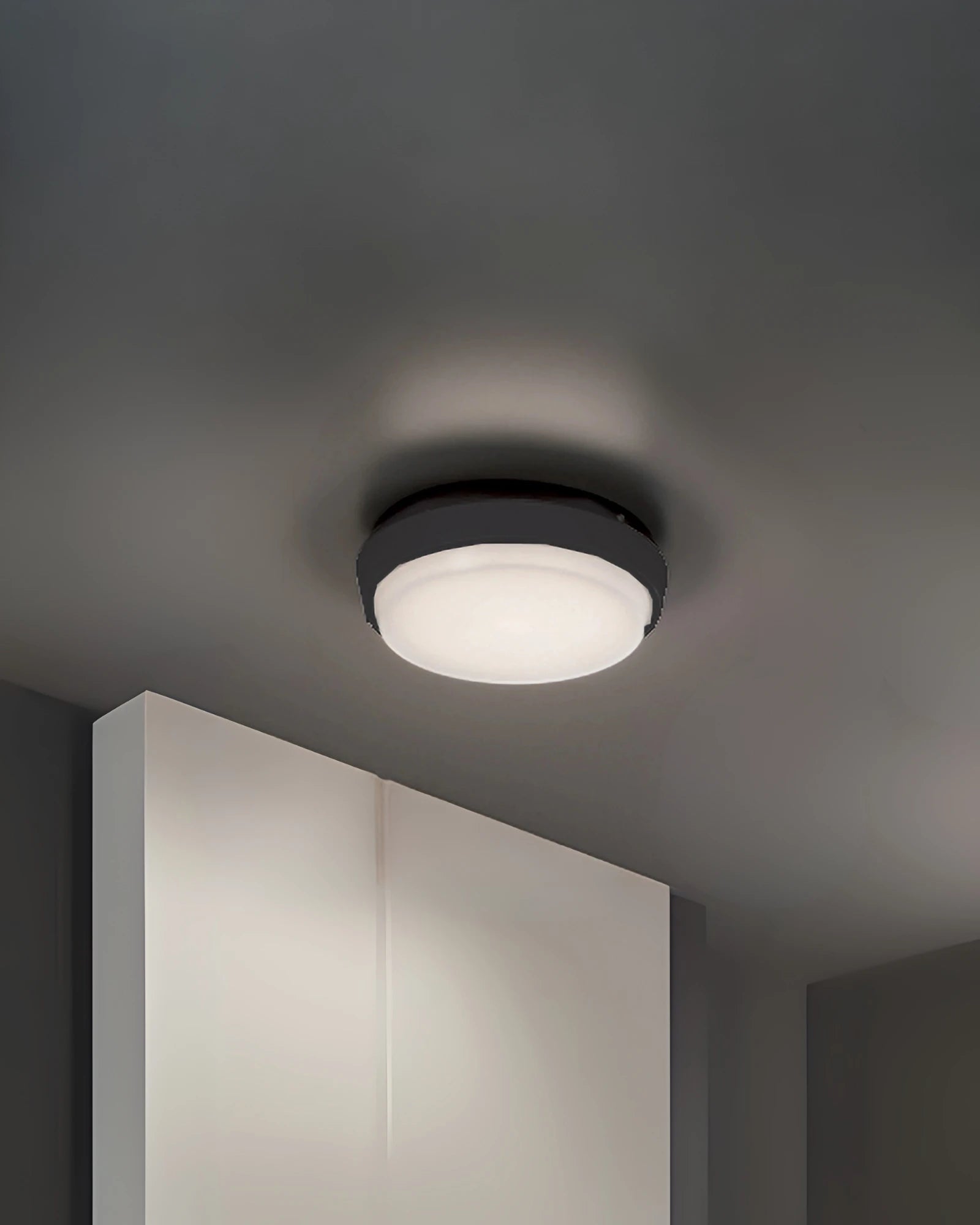 Alu Wall/Ceiling Light