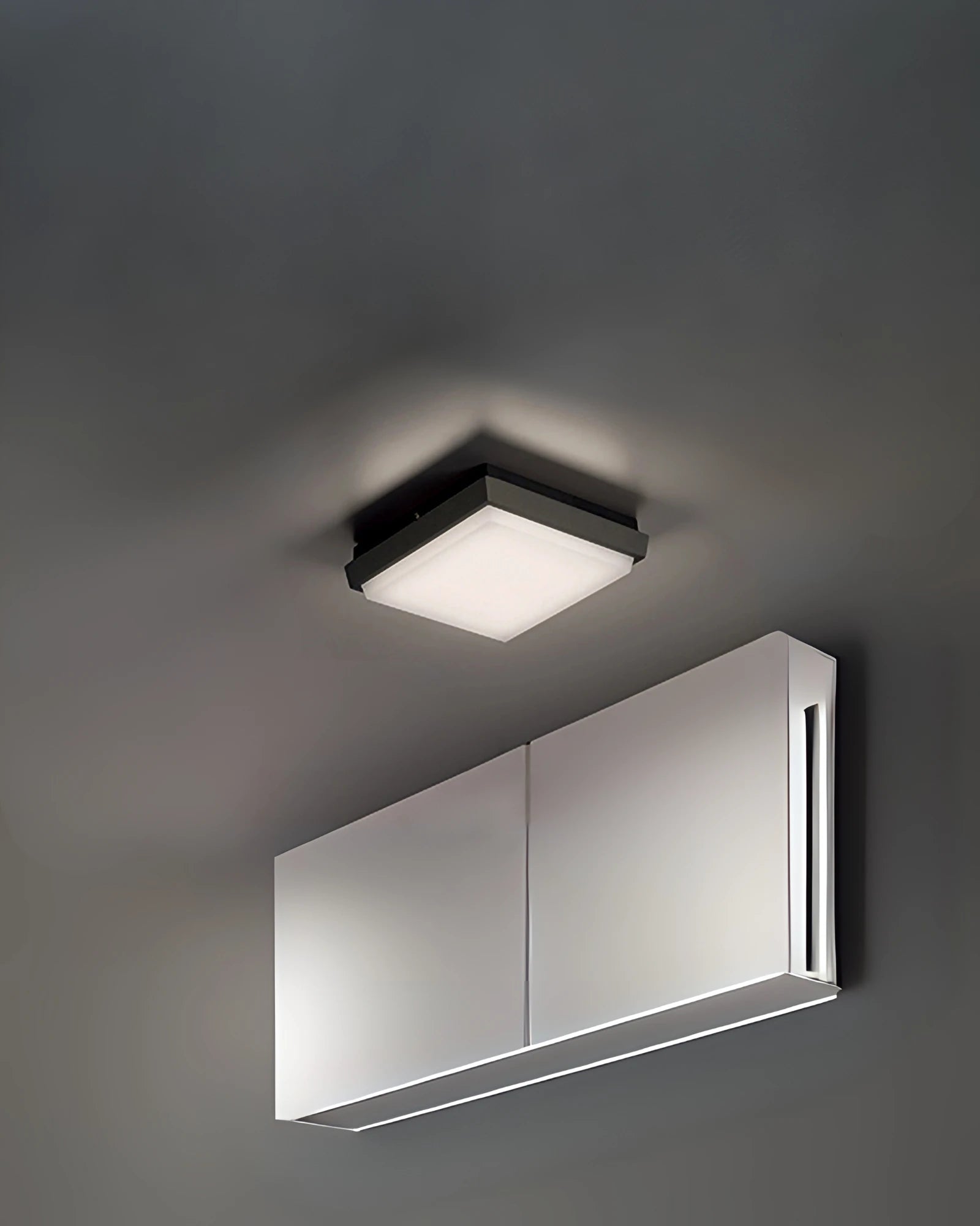 Alu Wall Square Ceiling Light