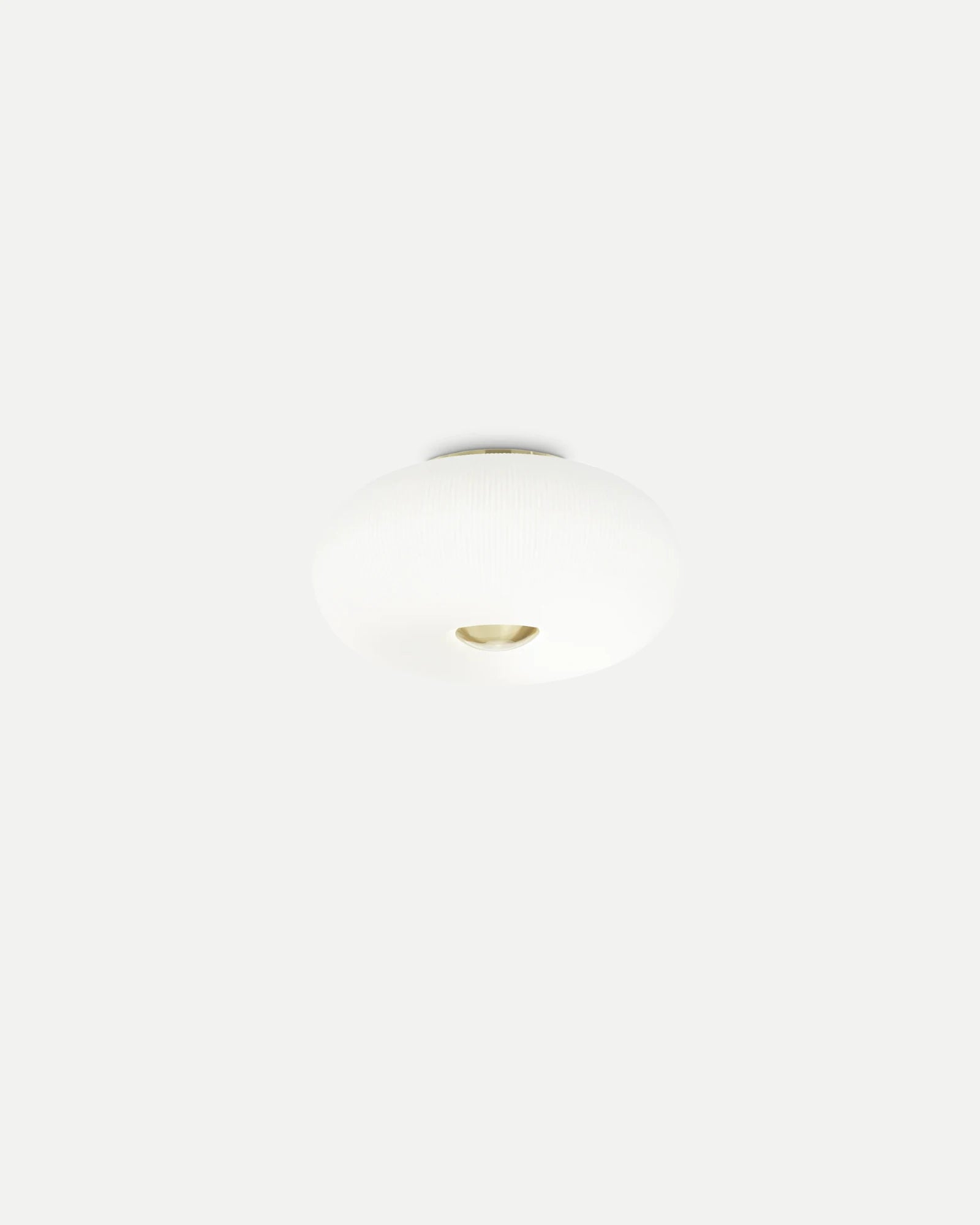 Arizona Ceiling Light