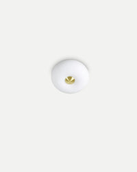 Arizona Ceiling Light