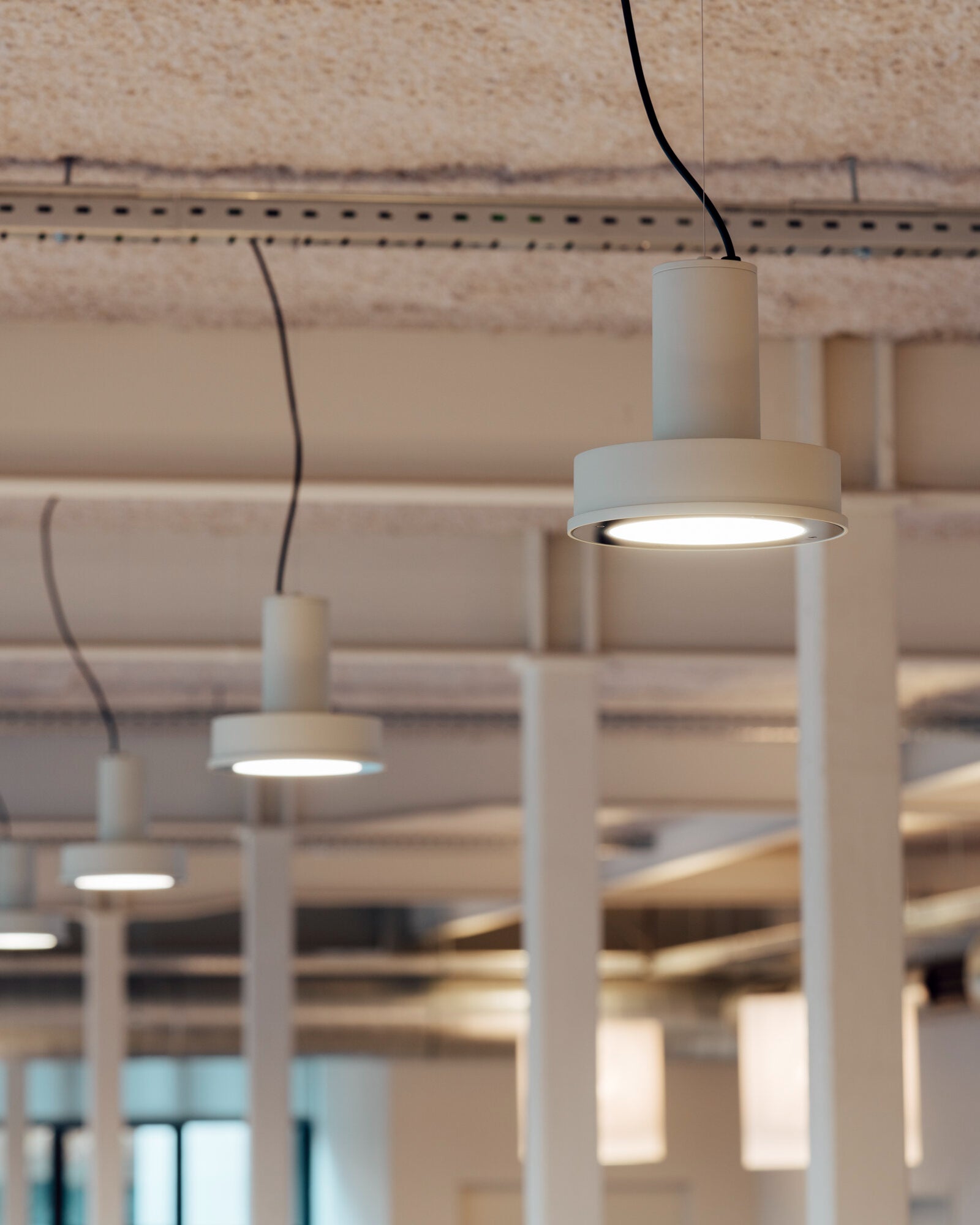 Arne S Domus Pendant Light