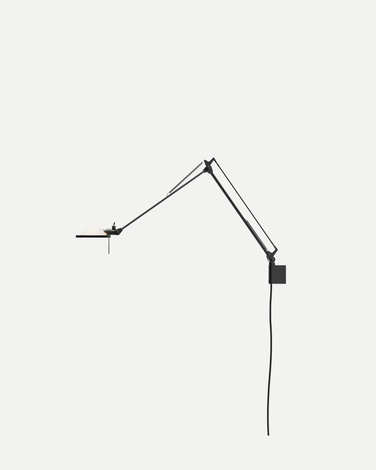 Berenice Wall Light