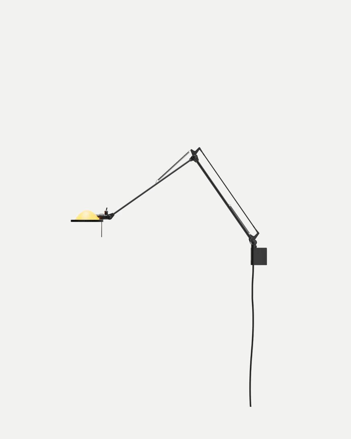 Berenice Wall Light