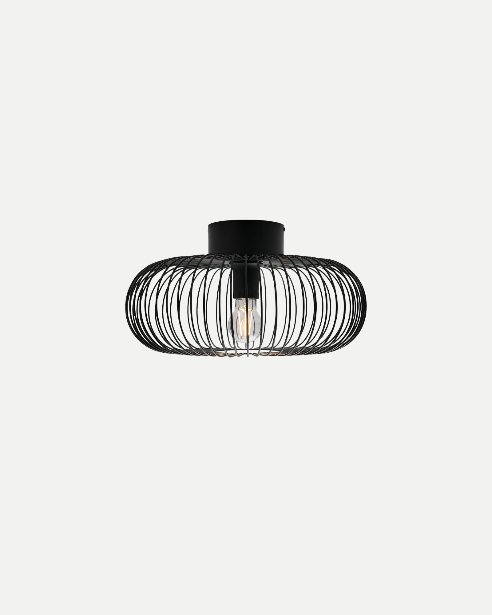 Beroni Wall/Ceiling Light