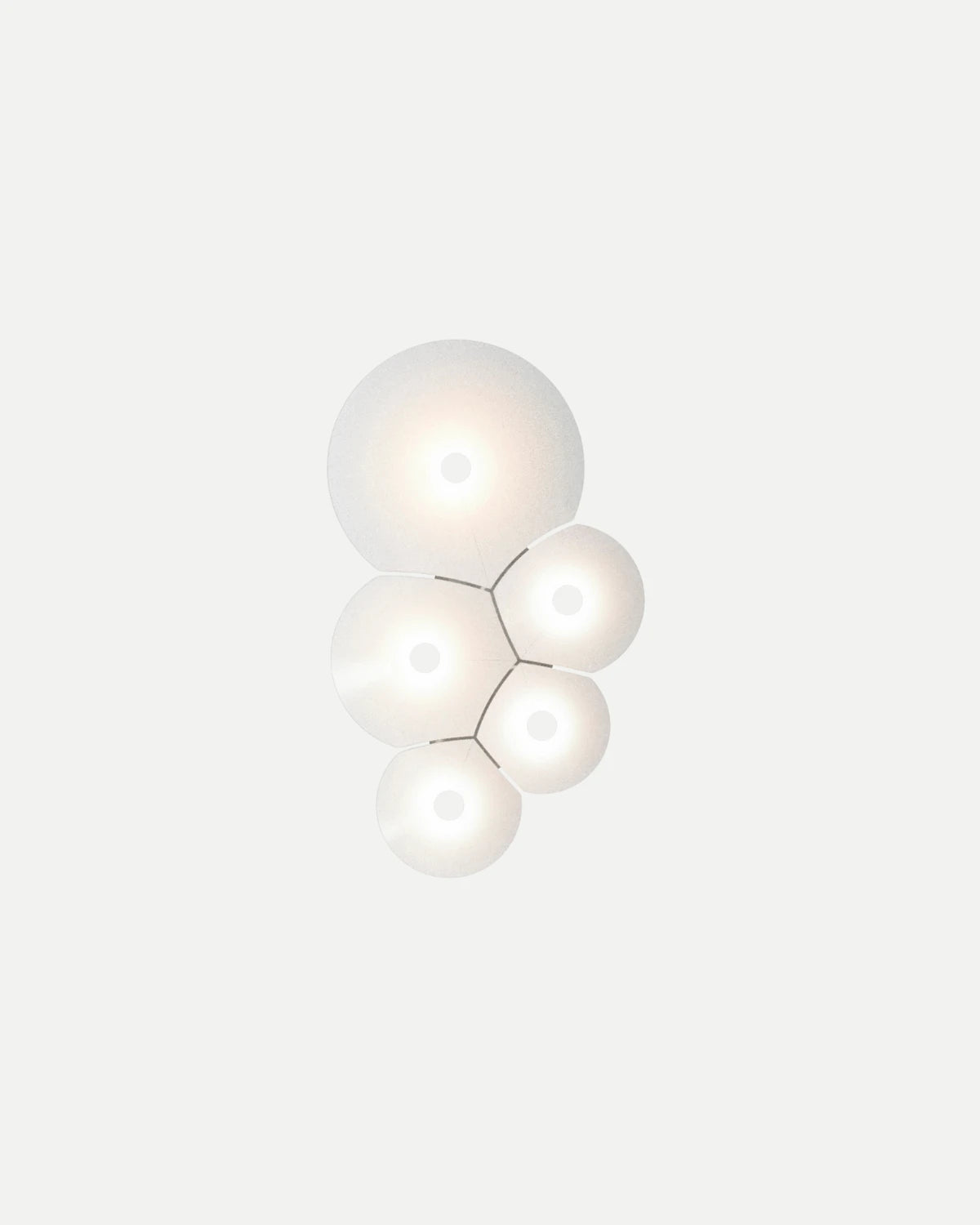 Bulbullia Wall/Ceiling Light