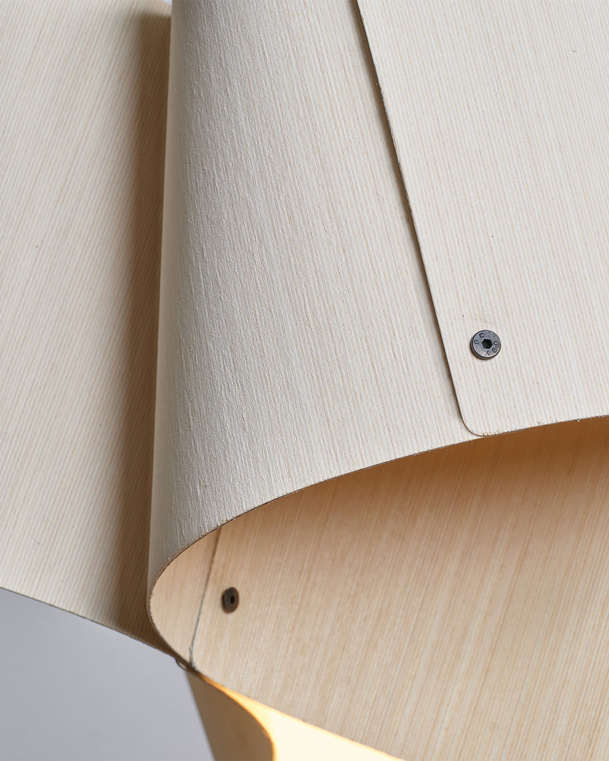 Carlotta Pendant Light