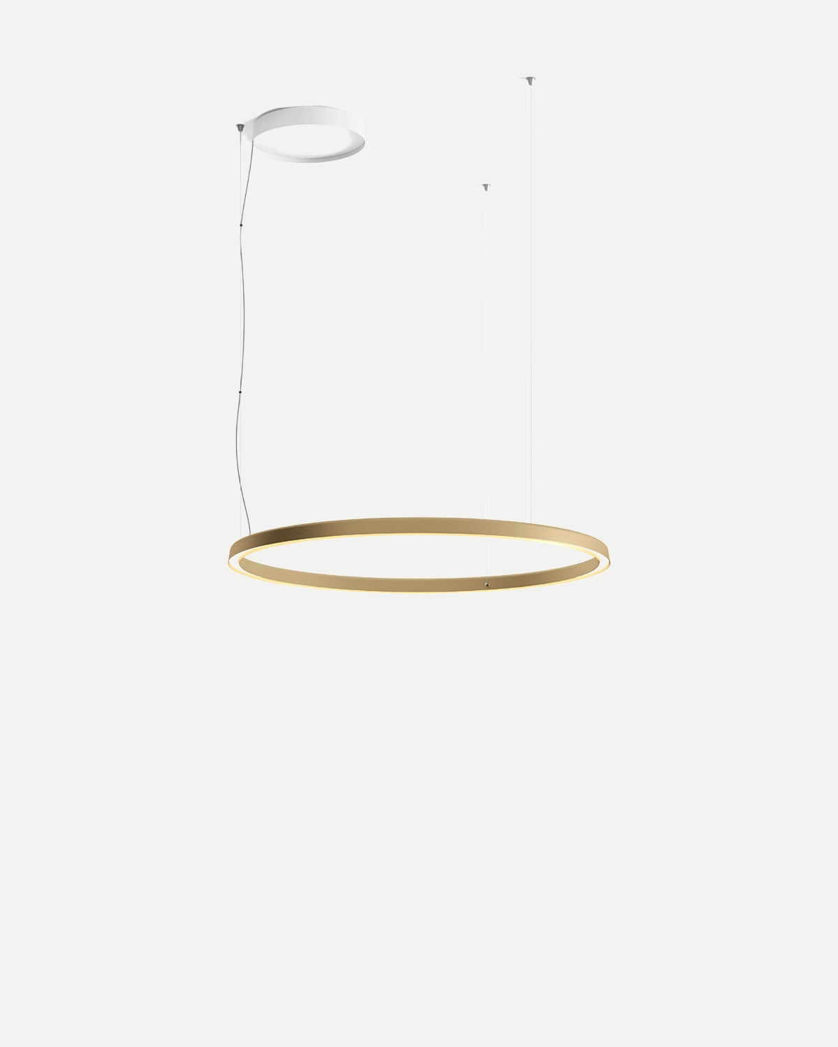 Compendium Circle Pendant Light
