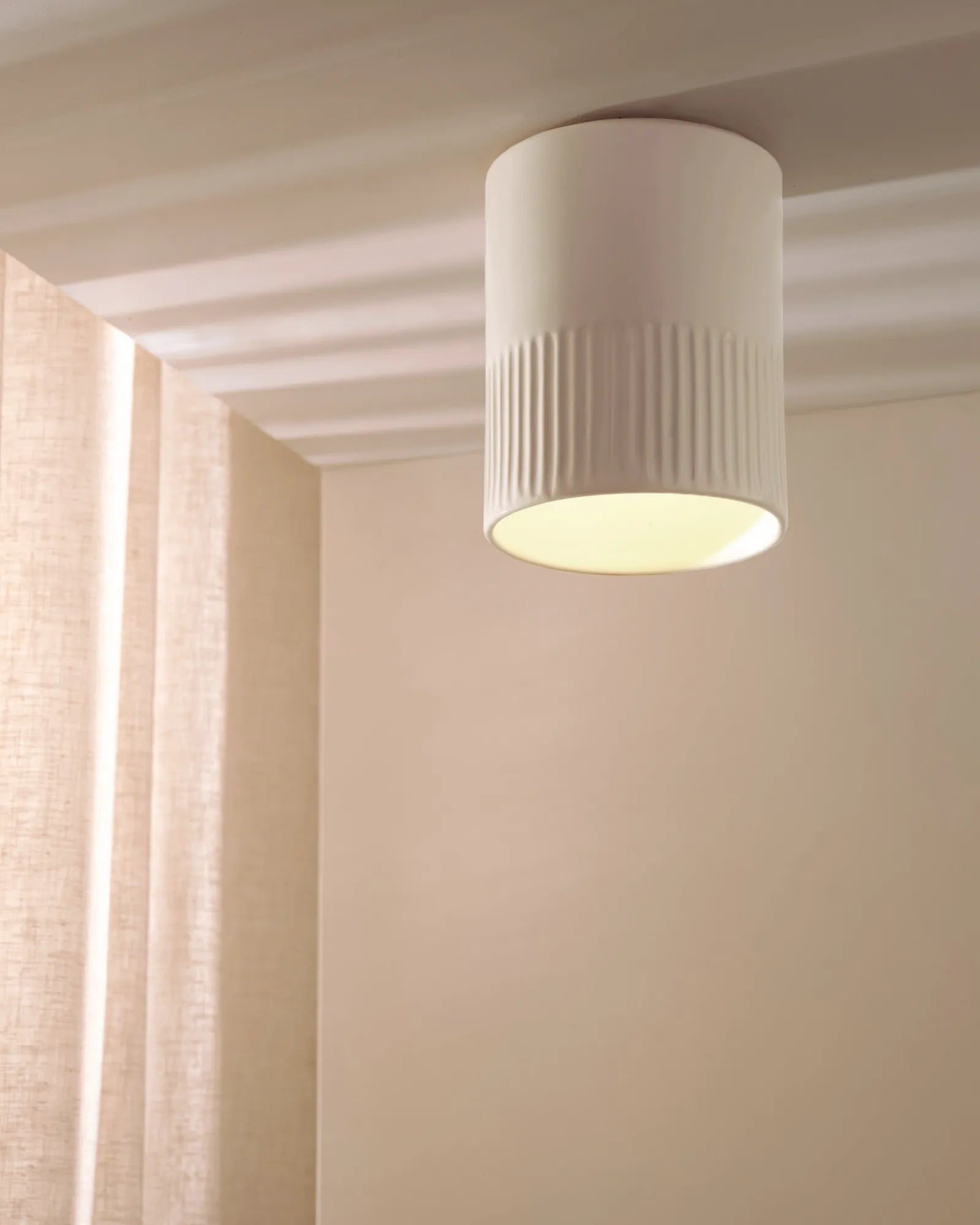 Day Ceiling Light