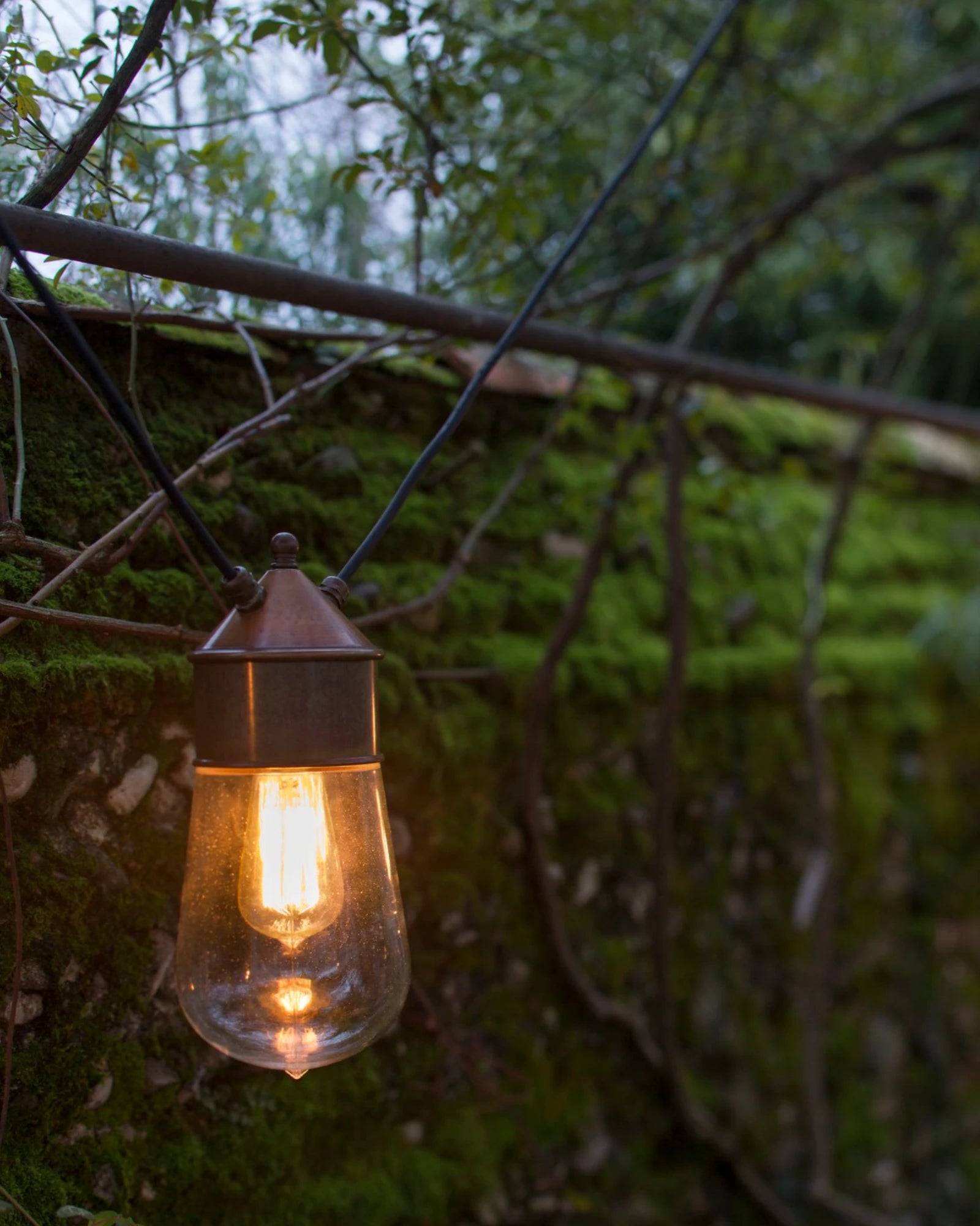 Drop Dual Pendant Light