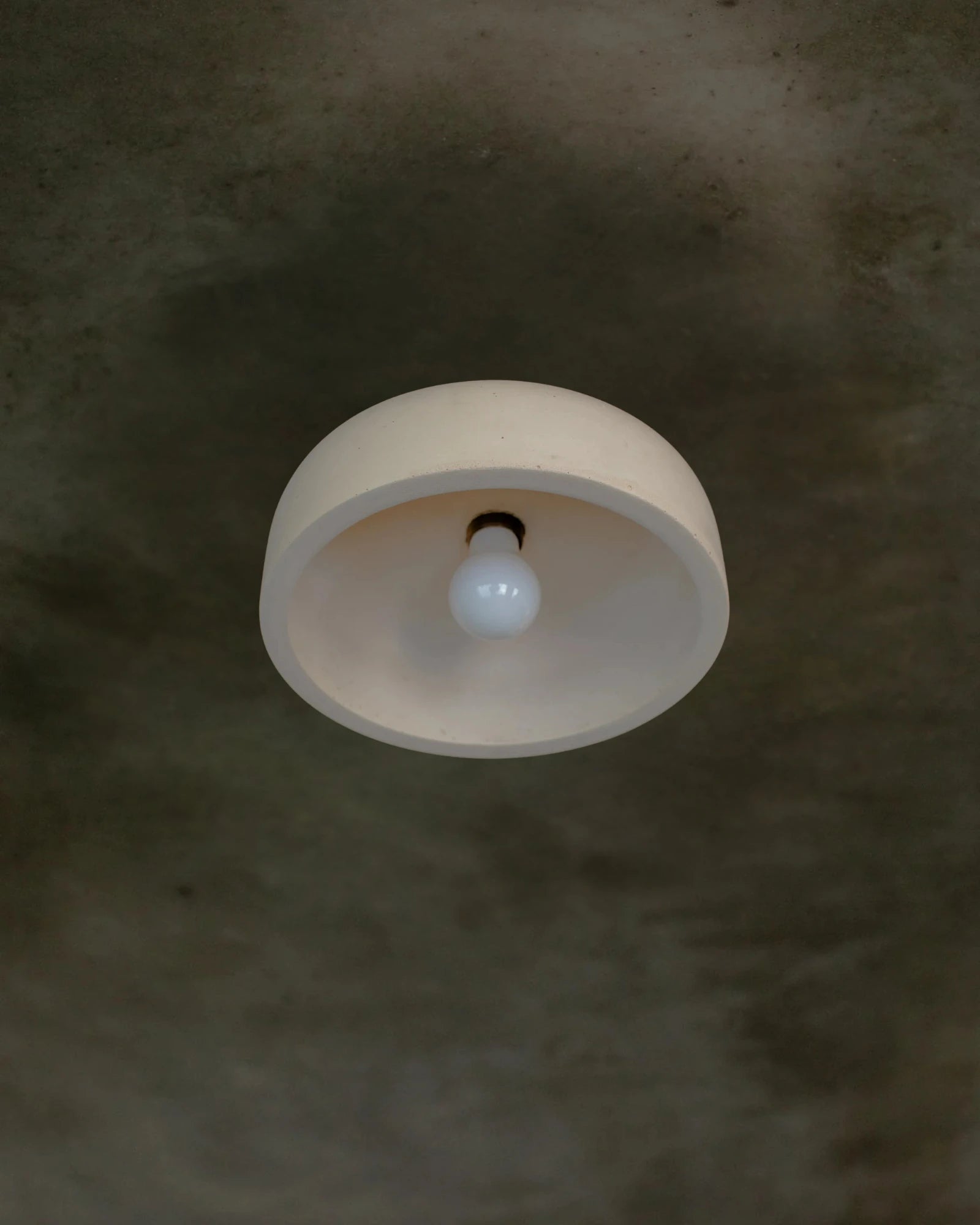 Hakea Ceiling Light