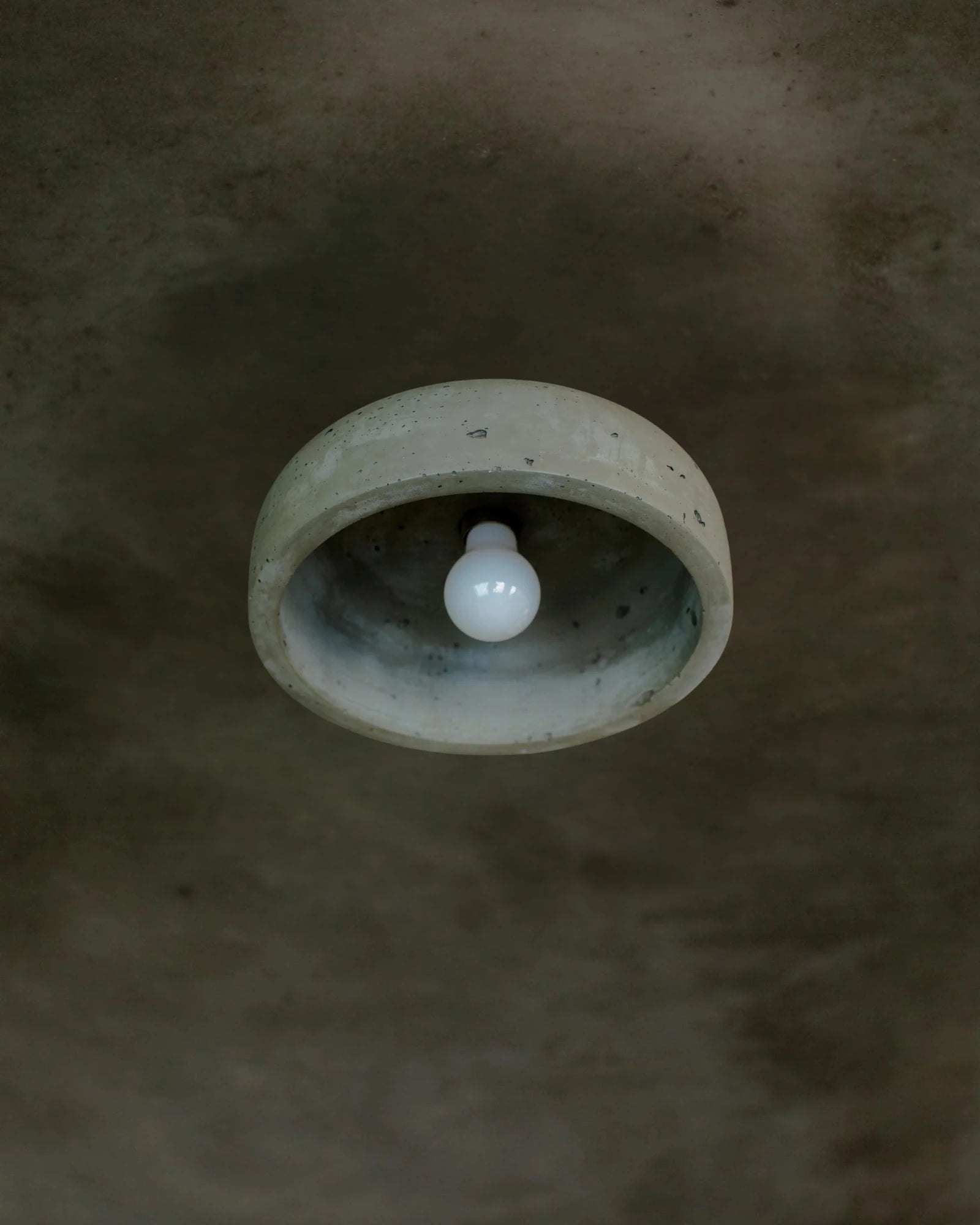 Hakea Ceiling Light
