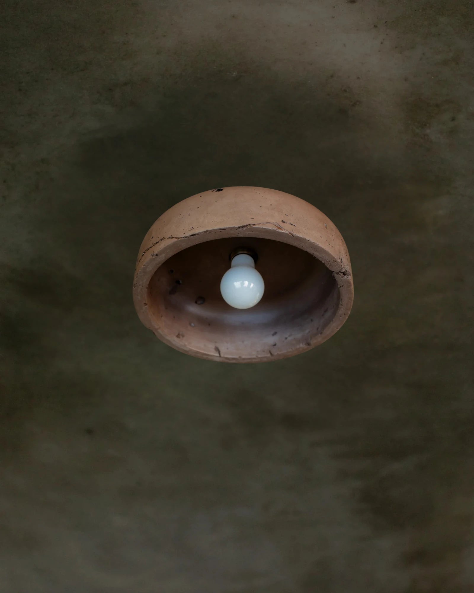 Hakea Ceiling Light