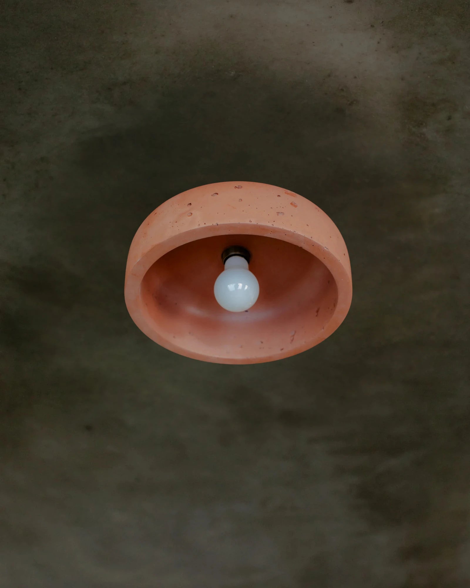 Hakea Ceiling Light