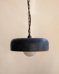 Hakea Large Pendant Light