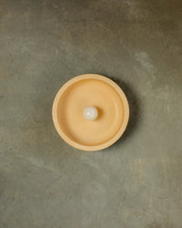 Hakea Medium Wall Light