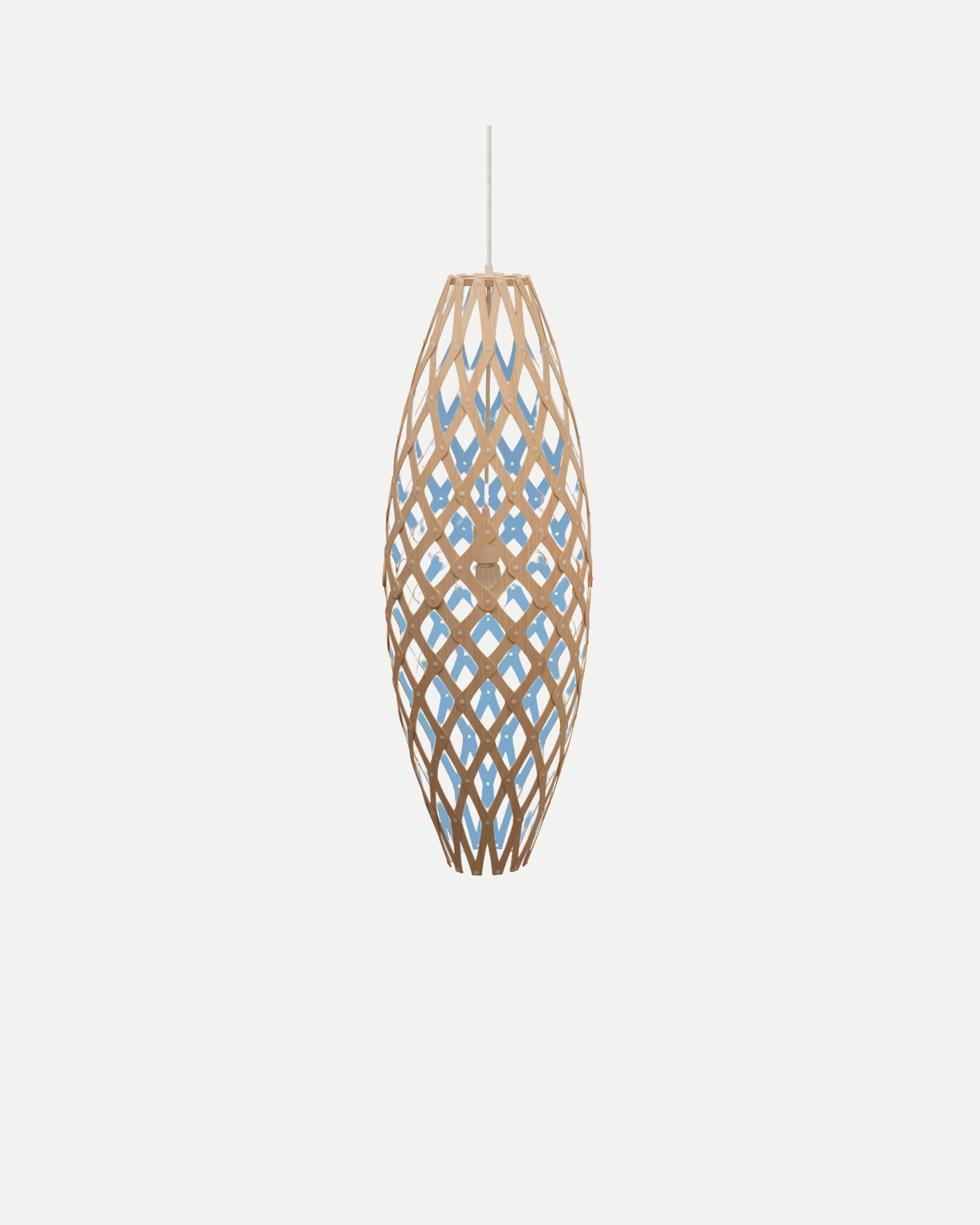 Hinaki Pendant Light